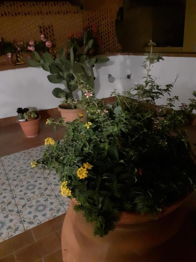 Vila Dolce Far Niente Noto Exteriér fotografie